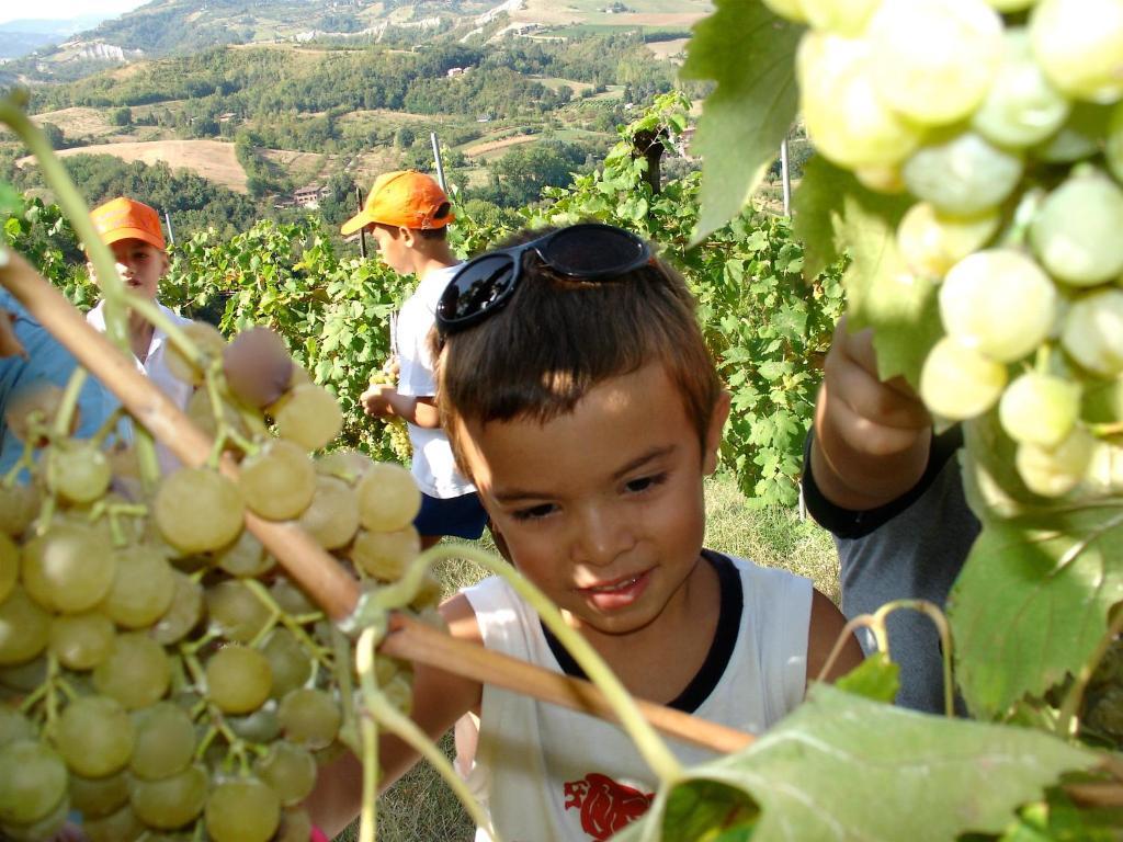 Agriturismo Ca' Isotta Castello di Serravalle Екстериор снимка